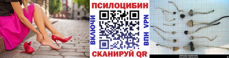 закладки  Сельцо  blacksprut ССЫЛКА  Псилоцибиновые грибы ЛСД 