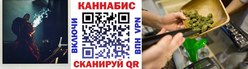 Бошки Шишки семена  KRAKEN ТОР  Сельцо 